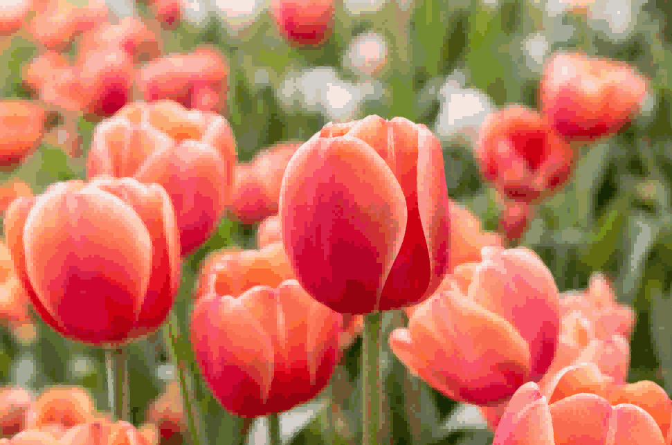 海关数据,J9国际站 J9 海关数据,荷兰海关数据